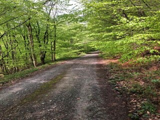 Appartamento Horn-Bad Meinberg Ambiente 30