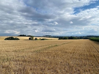 Apartment Horn-Bad Meinberg Umgebung 37