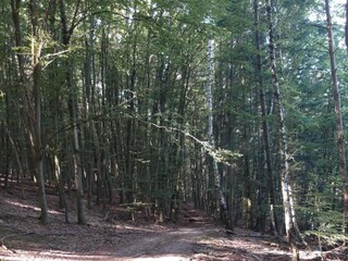 Appartamento Twistetal Ambiente 21