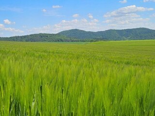 Appartement Twistetal Omgeving 27