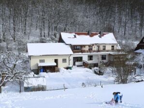 Ruhiges Ferienhaus mit Terrasse - Landkreis Waldeck-Frankenberg (Sauerland) - image1