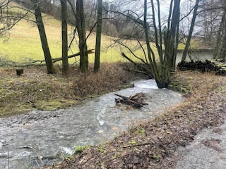 Apartment Willingen Umgebung 20