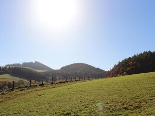 Apartamento Willingen Entorno 28