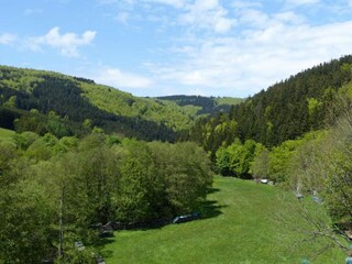 Apartment Willingen Environment 18