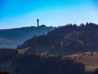 Apartment Willingen Environment 20
