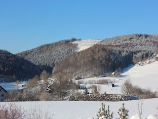 Apartamento Willingen Entorno 17