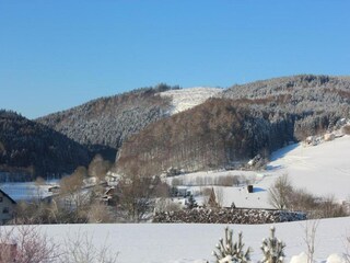 Appartement Willingen Omgeving 18