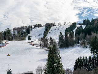 Appartamento Willingen Registrazione all'aperto 7