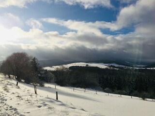 Apartment Willingen Environment 17