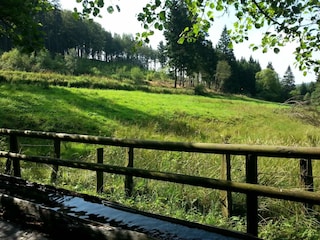 Apartment Willingen Environment 23