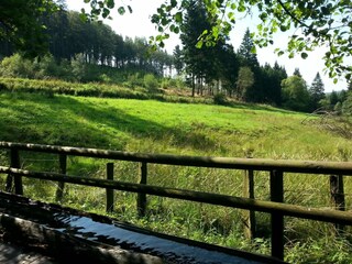 Appartement Willingen Environnement 23