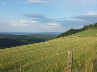 Appartement Willingen Omgeving 29