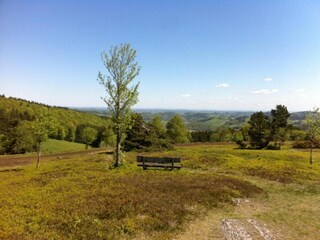 Apartment Willingen Environment 27