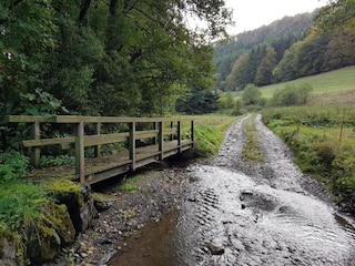 Apartment Willingen Environment 25