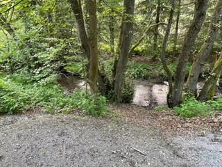 Appartement Willingen Environnement 26