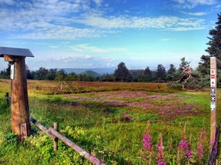 Apartment Willingen Umgebung 24