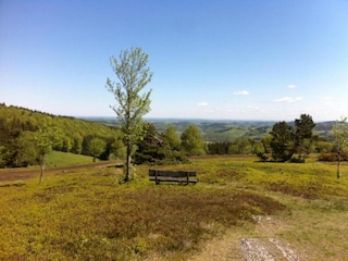 Apartment Willingen Environment 27