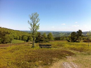 Apartment Willingen Umgebung 27