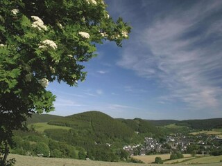 Appartement Willingen Environnement 19