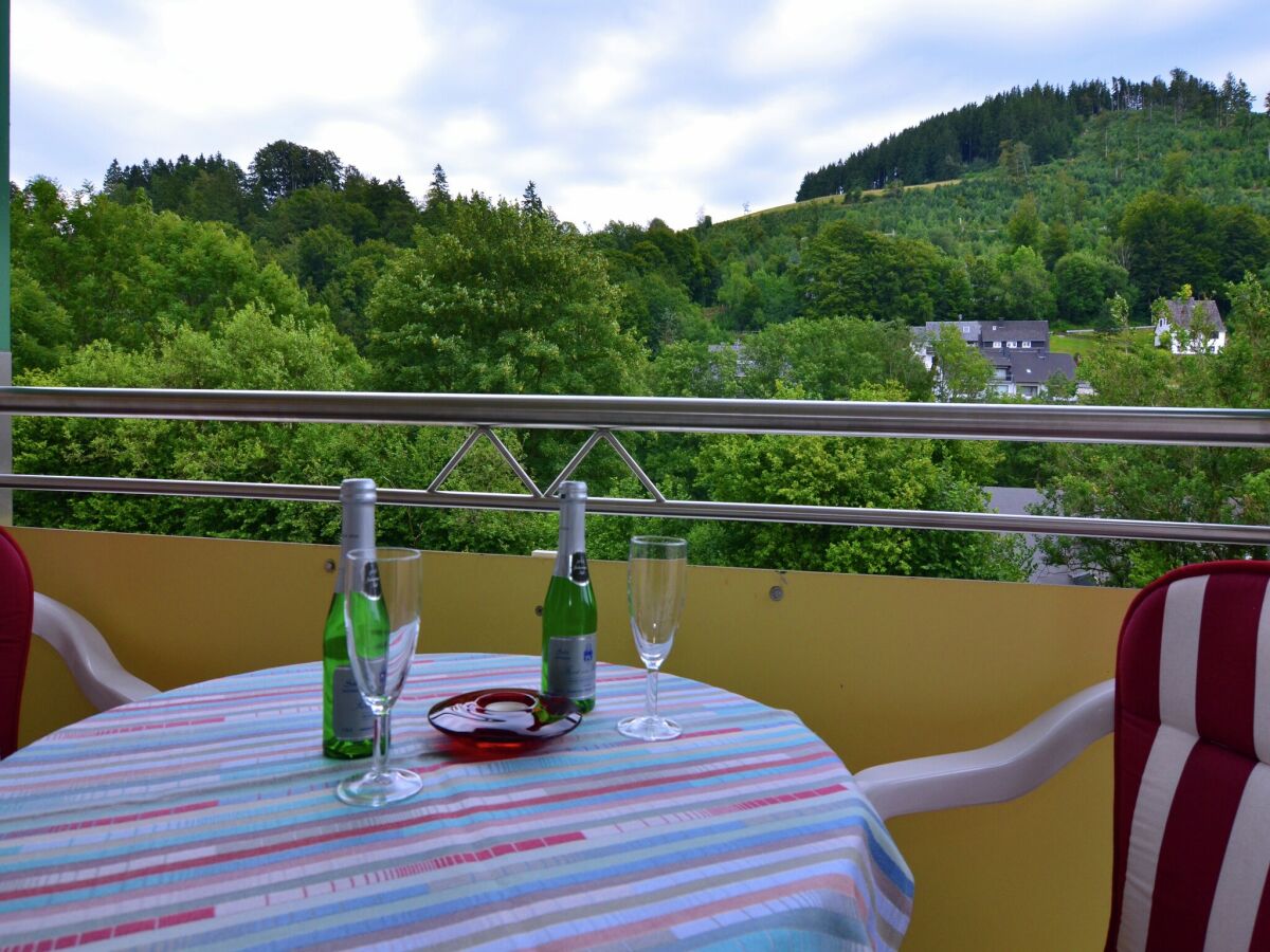 Apartment Willingen Outdoor Recording 1