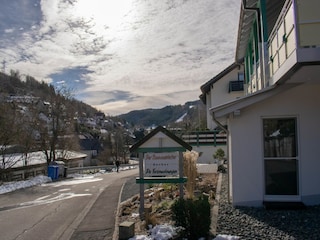 Appartement Willingen Buitenaudio-opname 10