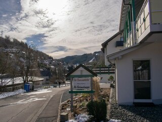 Appartement Willingen Enregistrement extérieur 9