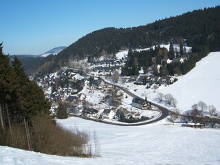 Appartement Willingen Omgeving 26