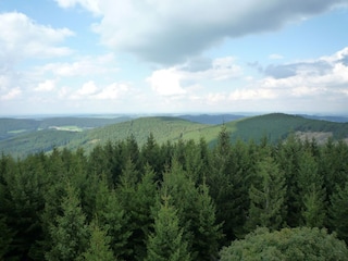 Apartment Willingen Environment 27