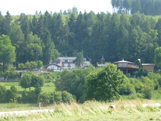 Appartement Willingen Omgeving 28