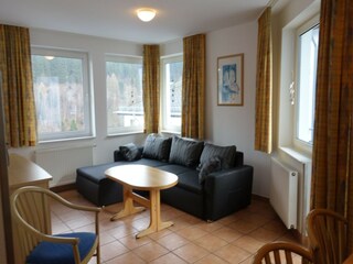 Appartamento Willingen Caratteristiche 21