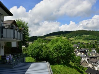 Apartment Willingen Außenaufnahme 10