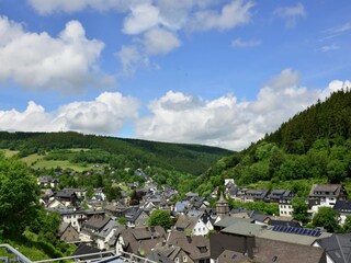 Appartement Willingen Environnement 24