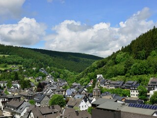 Apartment Willingen Environment 34