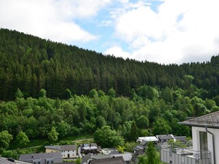 Apartamento Willingen Grabación al aire libre 2