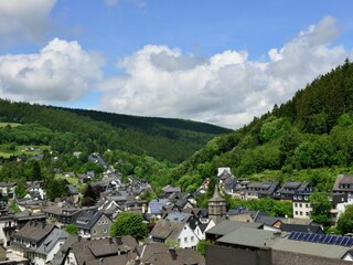 Appartement Willingen  38
