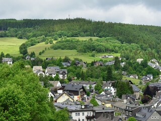 Appartement Willingen Omgeving 21