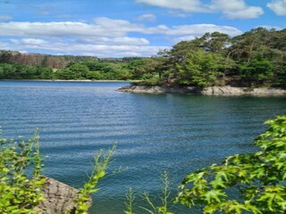 Appartamento Diemelsee Ambiente 38