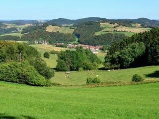 Appartement Diemelsee Omgeving 37