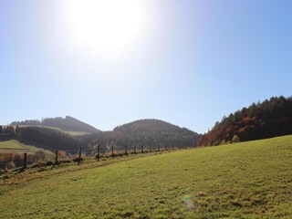 Appartement Diemelsee Omgeving 24