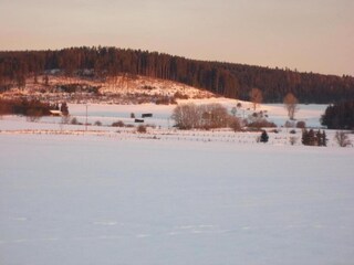 Appartement Diemelsee Omgeving 41