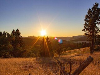 Appartement Diemelsee Omgeving 32