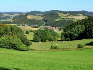 Appartement Diemelsee Environnement 26