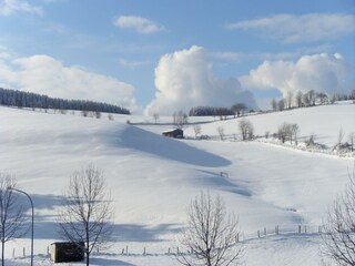 Appartement Willingen Omgeving 23