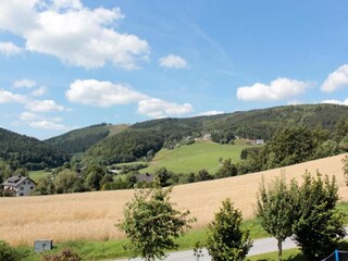 Appartement Willingen Omgeving 34