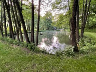 Appartement Willingen Omgeving 26