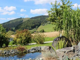 Appartement Willingen Omgeving 37