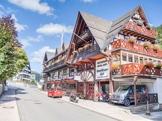 Appartement Willingen Environnement 25