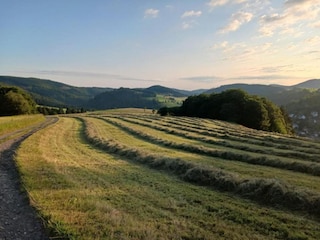 Apartment Willingen Umgebung 35