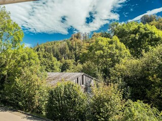 Appartement Willingen Buitenaudio-opname 7