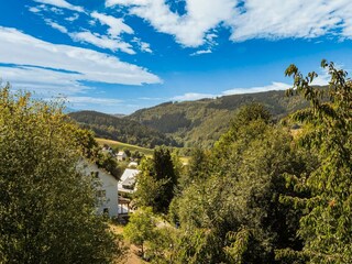 Apartamento Willingen Grabación al aire libre 10